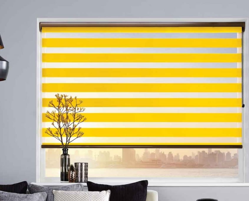 Vision-Blind Vision Blinds